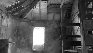 Mr Gattys shed interior